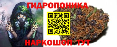стафф Апшеронск