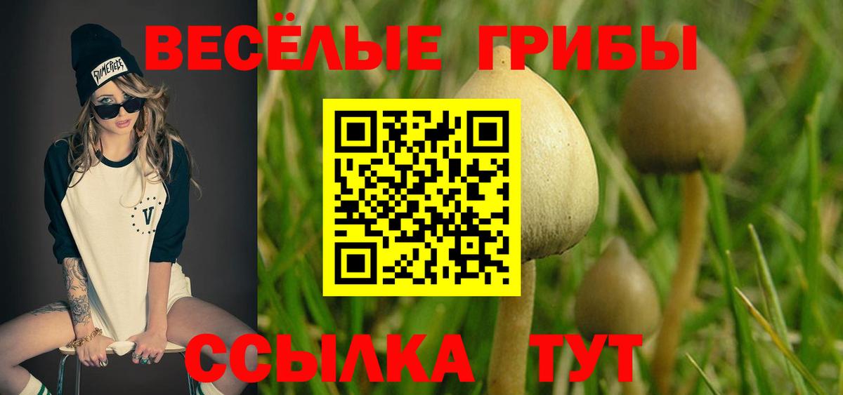 Псилоцибиновые грибы мицелий Березники